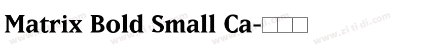 Matrix Bold Small Ca字体转换